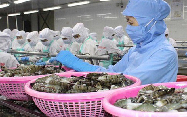EVFTA Exonération des taxes douanières sur 212 produits aquatiques vietnamiens à partir du 1er août