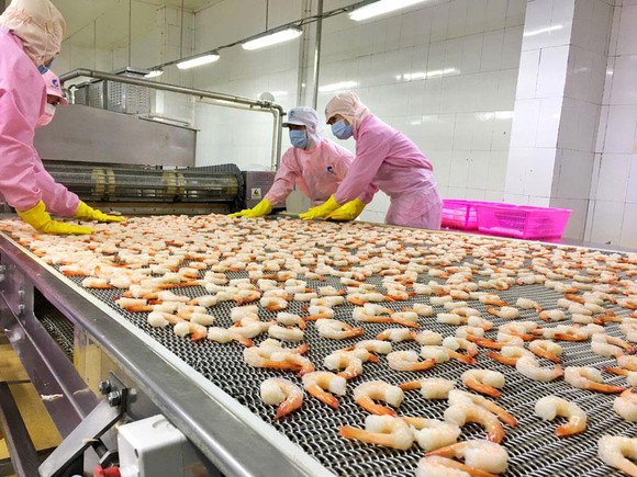 Les exportations de crevettes atteignent 1,5 milliard de dollars au 1er semestre