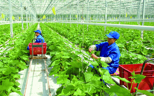 Le secteur agricole ne change pas son objectif de croissance pour 2020