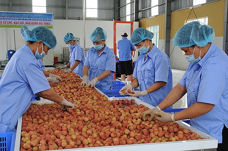 Grandes opportunités d exportation vers le marché japonais