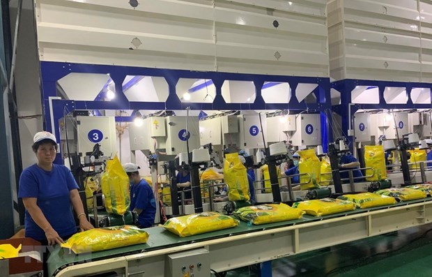 Can Tho prépare le premier lot de riz à exporter vers l UE avec une taxe de 0