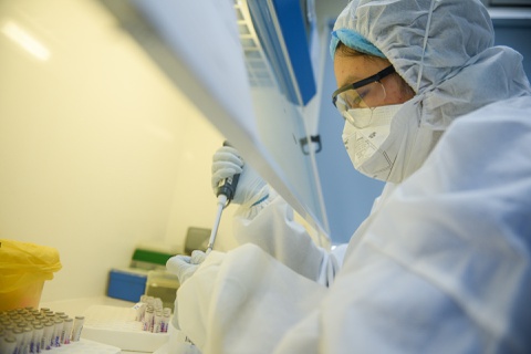 COVID-19  une matinée supplémentaire sans nouveau cas d’infection