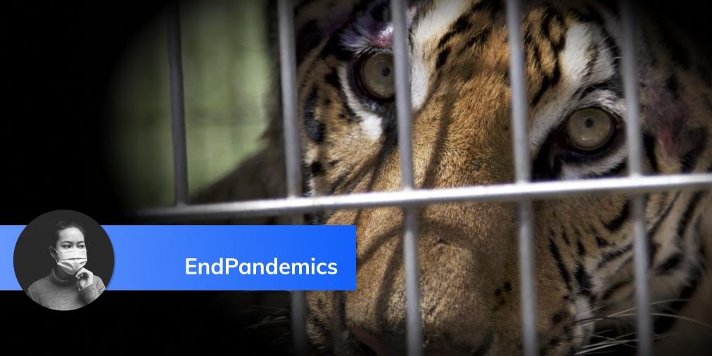 Biodiversité EndPandemics Earth remercie le Vietnam