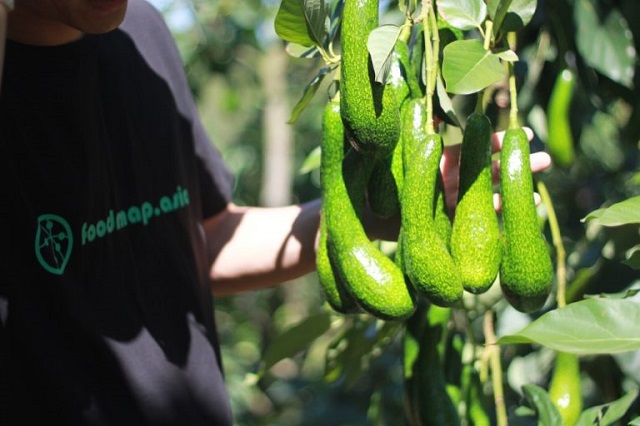 Foodmap dessine une carte alimentaire vietnamienne