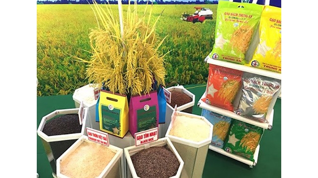 Le prix du riz vietnamien à l exportation est plus élevé que celui de la Thaïlande