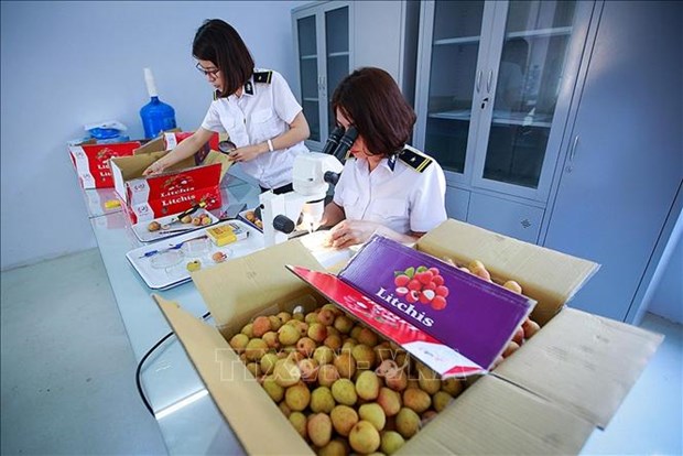 Le Vietnam représente un partenaire économique idéal pour l Australie