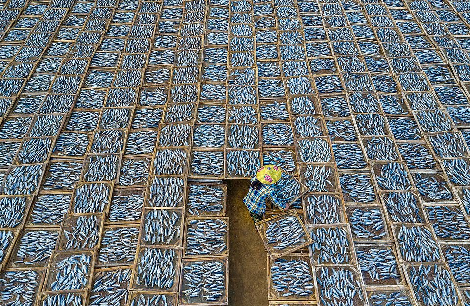 Une scène du séchage de poissons au Vietnam fait partie des photos lauréates des Sony World Photography Awards