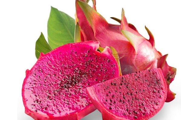 De bons signes pour les exportations de fruits et légumes