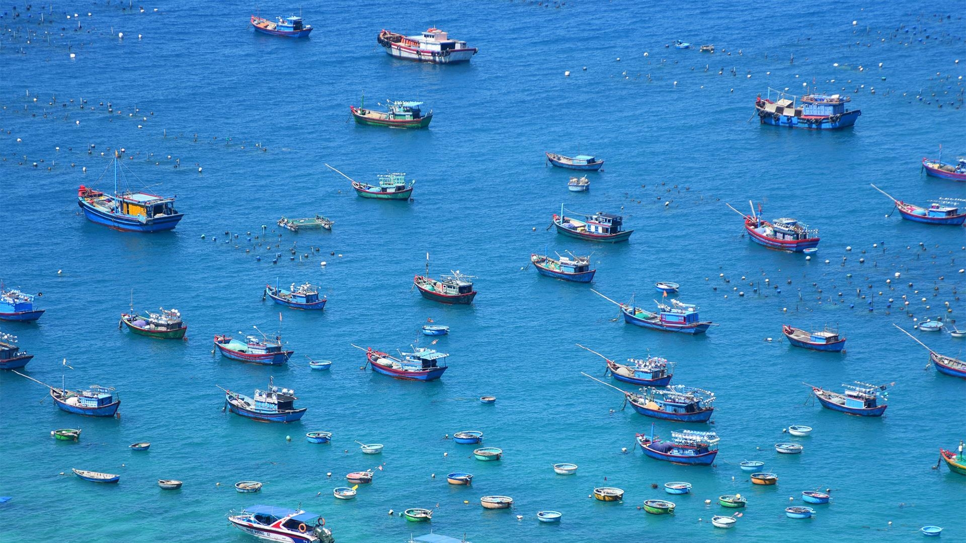 Le Vietnam va dépenser 2 500 milliards de dongs pour une enquête sur l environnement marin et ses ressources
