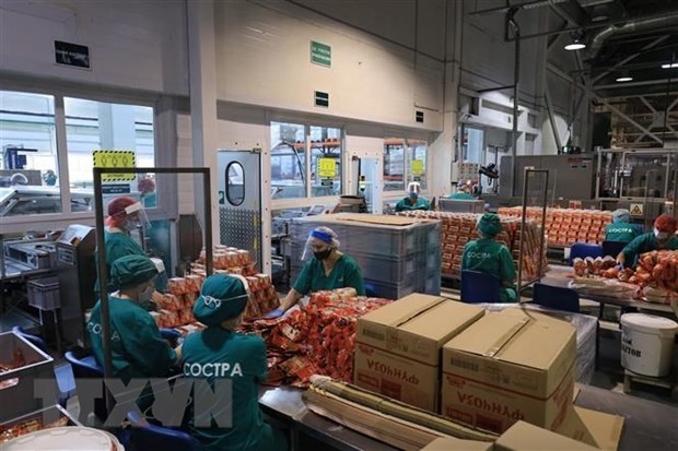 Les entreprises vietnamiennes laissent une bonne impression malgré le COVID-19
