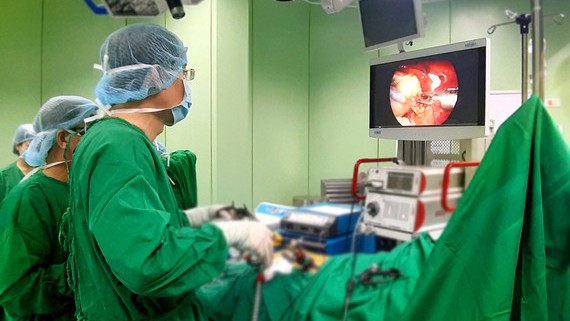 Trois scientifiques vietnamiens récompensés par le Prix Alexandre Yersin