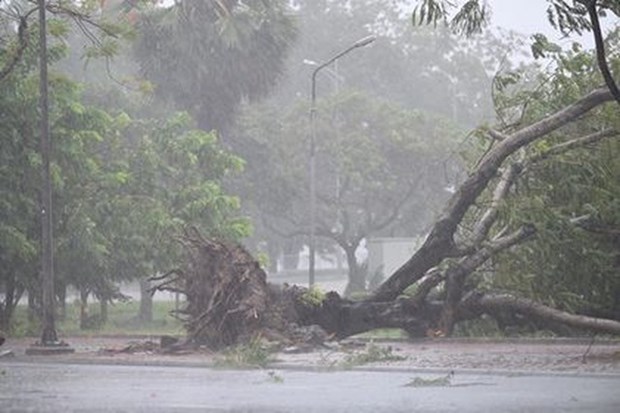 Tempête Noul un mort, des dizaines de blessés au Centre