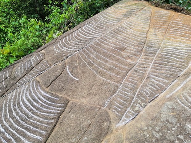 Des dalles anciennes avec des gravures de champs en terrasses trouvées à Yen Bai