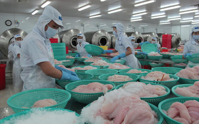 Douze entreprises vietnamiennes autorisées à exporter des produits aquatiques vers l’Arabie saoudite