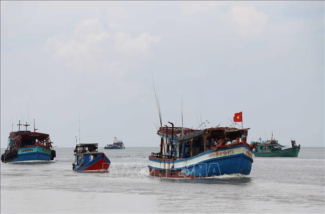 Les actions du Vietnam dans la lutte contre la pêche illicite