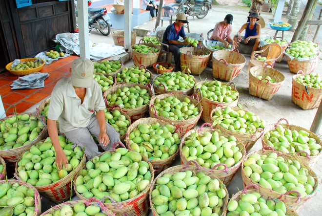150 importateurs étrangers se rapprochent des produits agro-alimentaires  vietnamiens