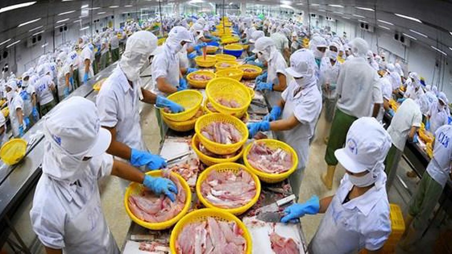 Les exportations de produits aquatiques pourraient atteindre 18-20 milliards de dollars en 2030