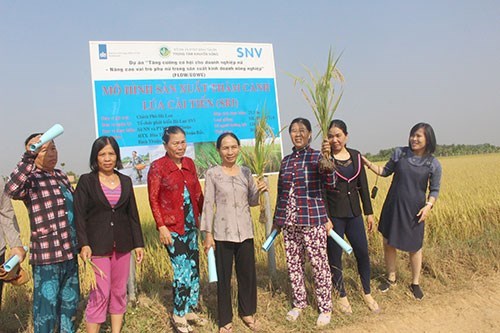 Un projet financé par les Pays-Bas aide les femmes de Binh Thuan dans la production agricole