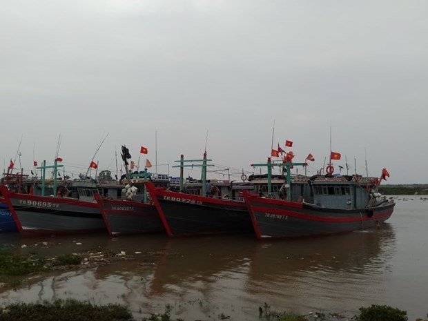 La tempête Nangka a touché le golfe du Bac Bo le 14 octobre