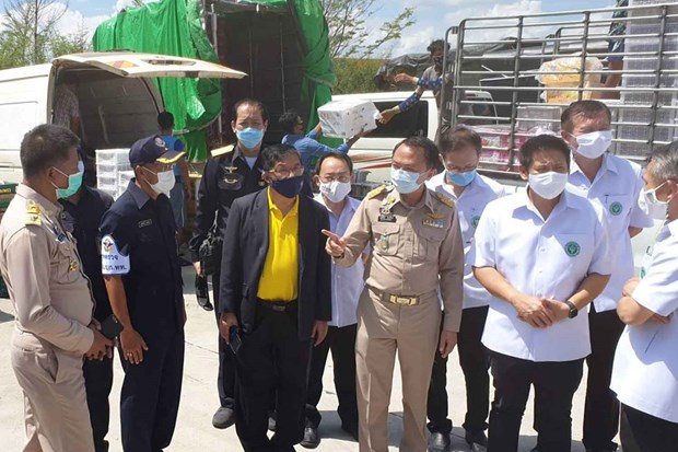 COVID-19 Situation épidémique en Thaïlande, en Indonésie et aux Philippines