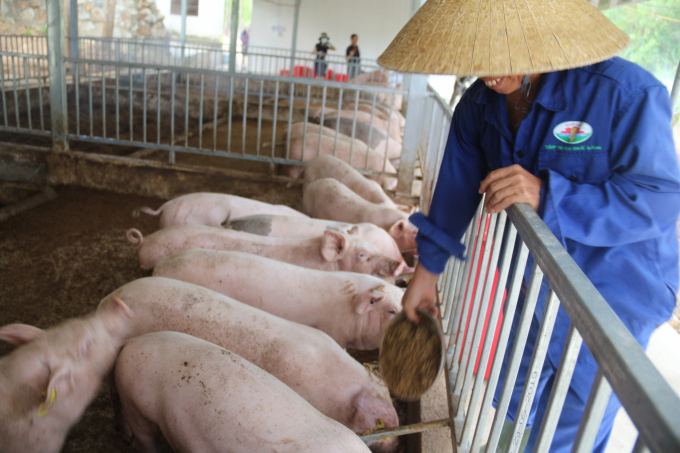 Le Japon apportera un soutien financier à des projets technologiques en Asie du Sud-Est