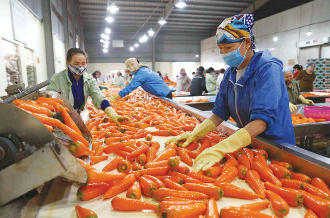 9 mois 94 projets d’investissement autorisés à Binh Dinh
