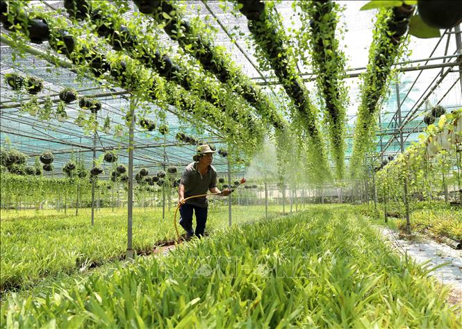 Des agriculteurs exceptionnels récompensés pour leur contribution à la croissance agricole