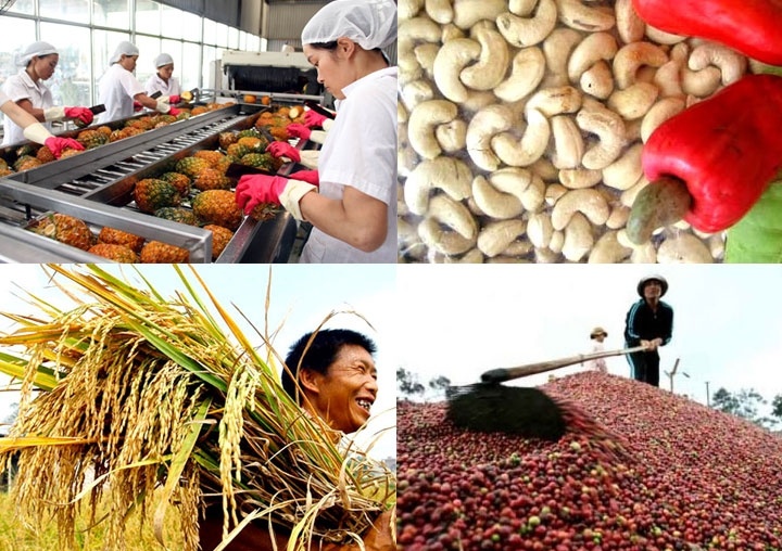 L’agriculture veut exporter pour 40 milliards de dollars en 2020