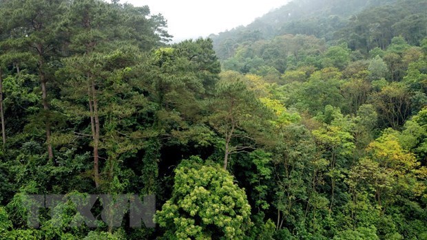 Un projet pour stimuler la préservation et la gestion de la biodiversité