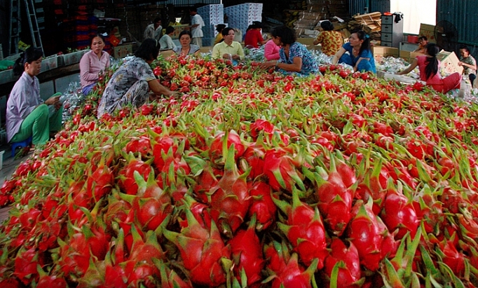 Vietnam-Chine plus de 9,8 milliards de dollars d’import-export de produits agricoles