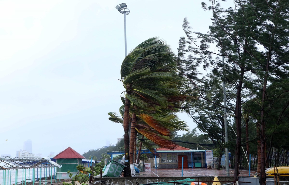 La tempête Molave frappera la côte du Centre le 28 octobre au matin