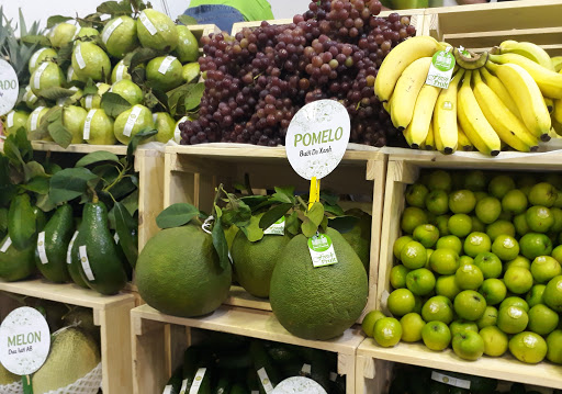 Pays-Bas, une porte d entrée pour les fruits vietnamiens sur le marché de l UE