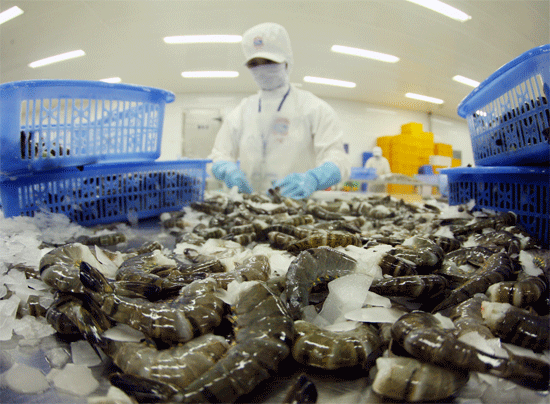 La crevette du Vietnam continue de dominer le marché canadien