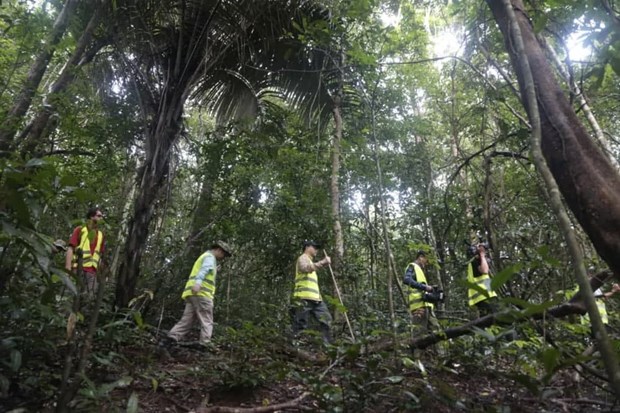 Cambodge Quelque 25 millions de dollars générés par l écotourisme au cours des neuf premiers mois