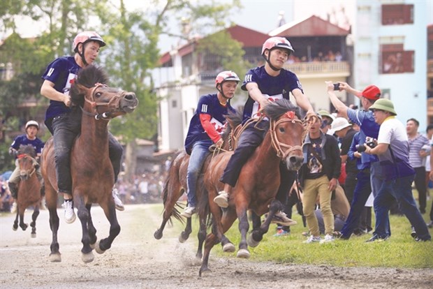Le festival d hiver de Bac Ha met en valeur la culture Mong