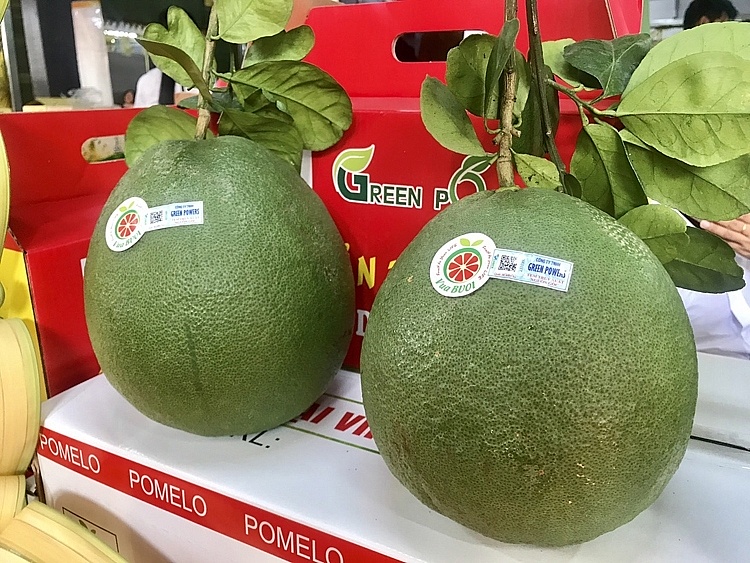 La Russie augmente ses importations de pamplemousses vietnamiens