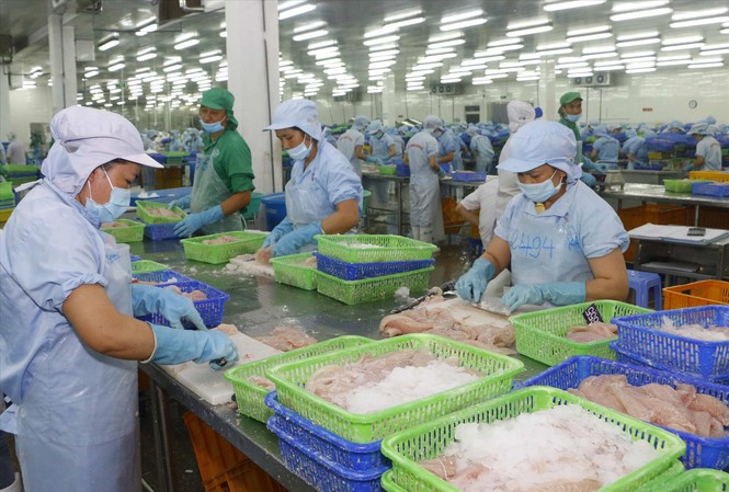Le poisson tra vietnamien domine toujours sur le marché chinois