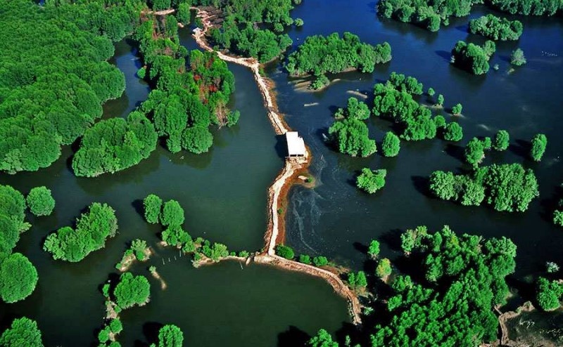 Le Vietnam s’efforce de préserver ses réserves de biosphère