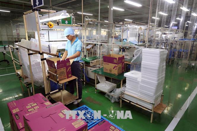 Dong Nai l attraction de l IDE des 11 mois pourrait dépasser l objectif annuel