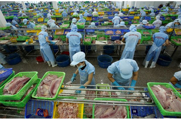 FMI la croissance du PIB du Vietnam en 2020 est parmi les plus élevées au monde