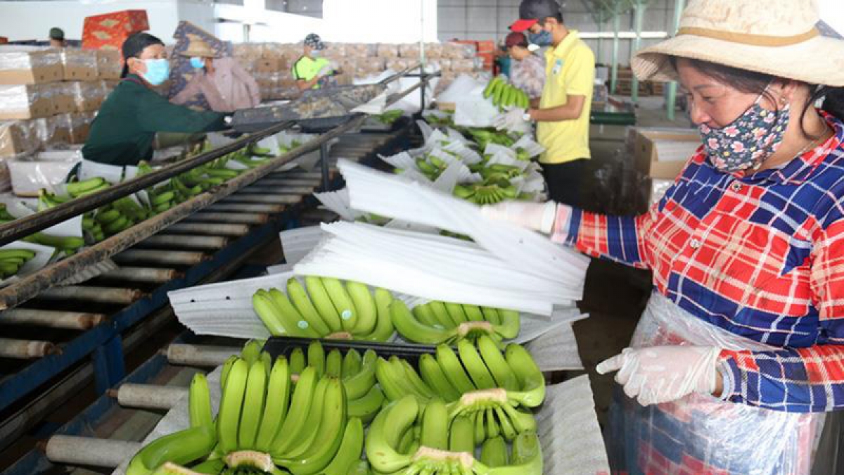 Les échanges commerciaux entre le Vietnam et le Laos retrouvent des couleurs