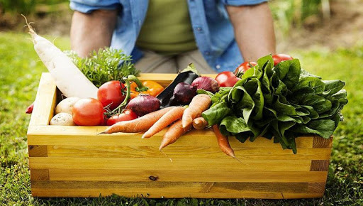 Les produits agricoles biologiques du Vietnam présents dans 180 pays