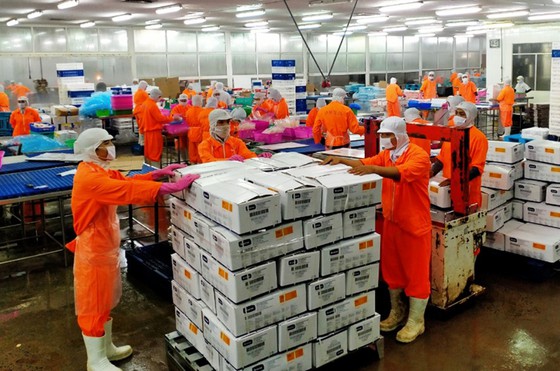 Des pangasius fabriqués selon des hautes technologies exportés vers l’étranger