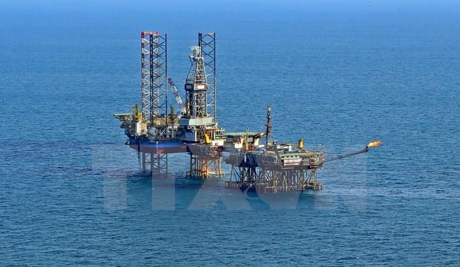 Le Conseil des membres du Groupe gazo-pétrolier du Vietnam a son nouveau président