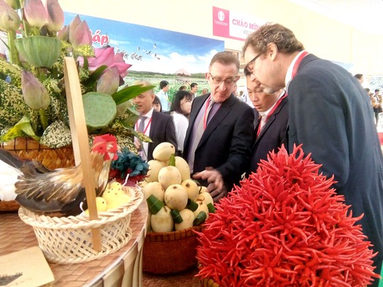 Delta du Mékong l’attrait des investissements et des signaux positifs