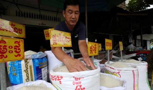 Cambodge les exportations de riz augmentent malgré les intempéries