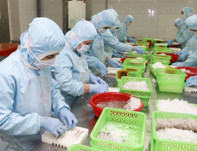 Exportations de crevettes vers l UE la plus forte croissance depuis le début de l année