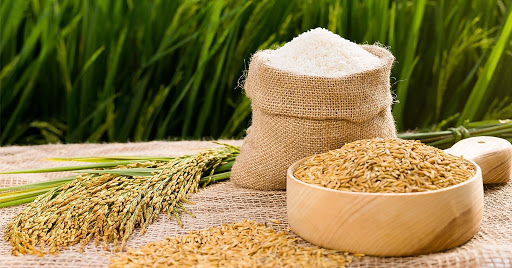 Le riz reste un point positif dans le tableau des exportations