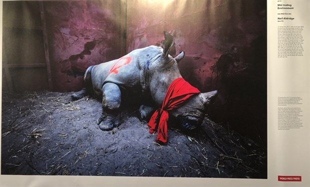 Une exposition de photos de la presse mondiale 2020 s ouvre à Hanoi