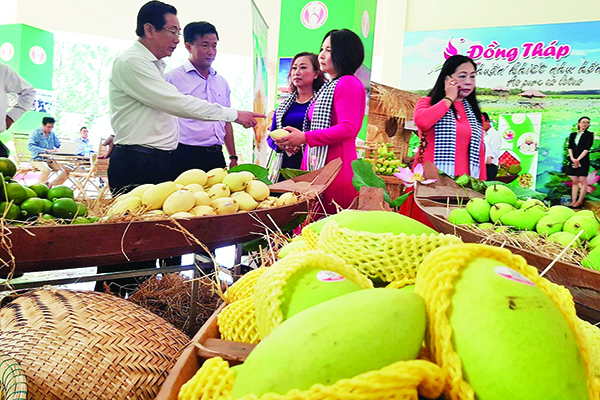 Exportation de mangue aux États-Unis de nombreuses opportunités